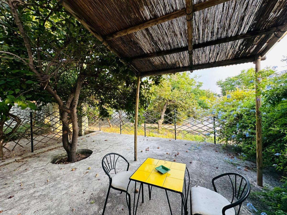 Il Vitigno Di Dioniso Hotel Forio  Exterior photo